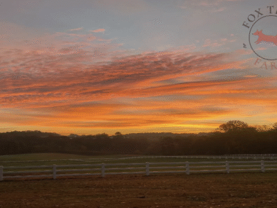 Fox Trail Farm